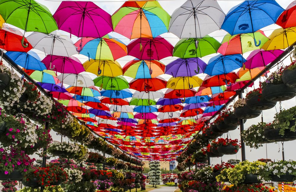 Miracle Garden, Dubailand