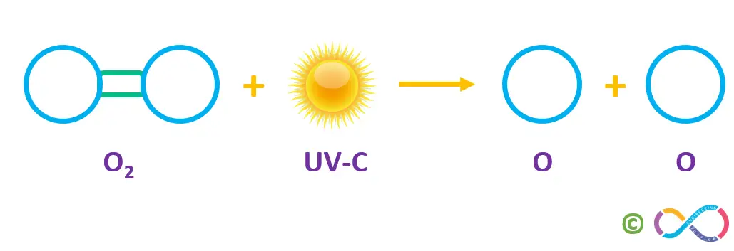 High-energy ultraviolet rays (UV-C) strike an oxygen molecule (O2), they split the molecule into two single atomic oxygen atoms.