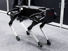 How Google is Teaching a Robot Dog to Imitate a Real Dog