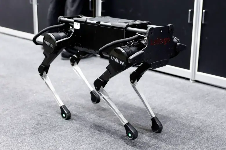 How Google is Teaching a Robot Dog to Imitate a Real Dog