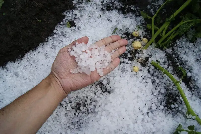 Typical Hailstones